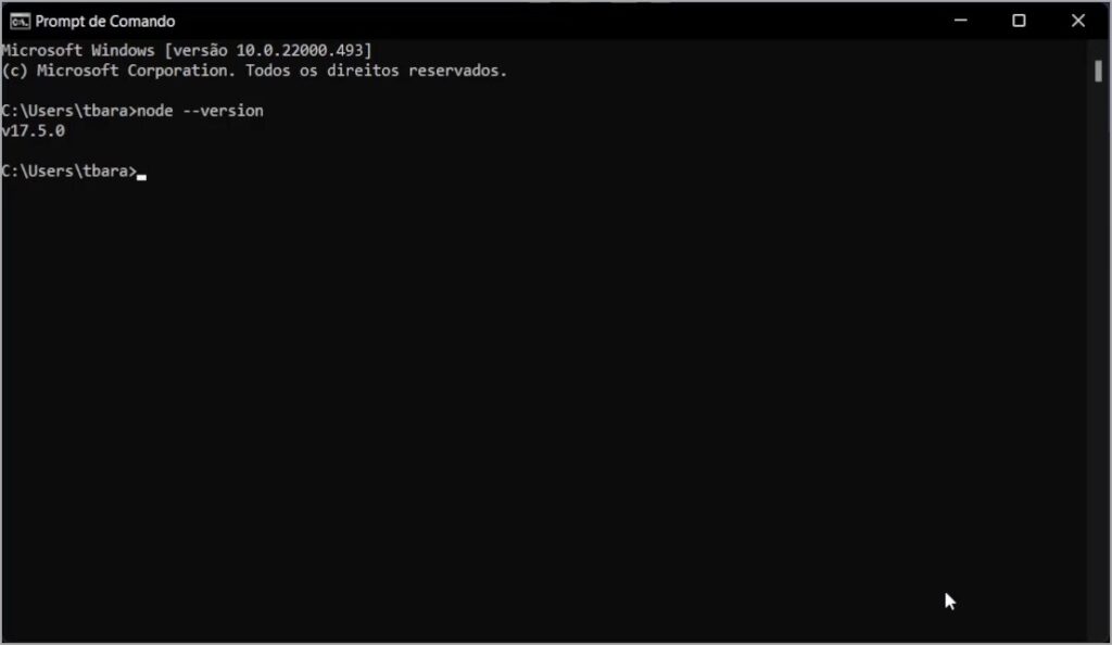 Validando a instalação do NodeJs no prompt de comando