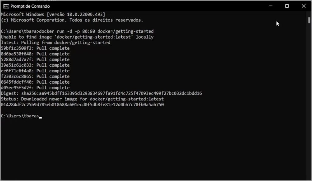 Rodando a primeira imagem após instalar o docker